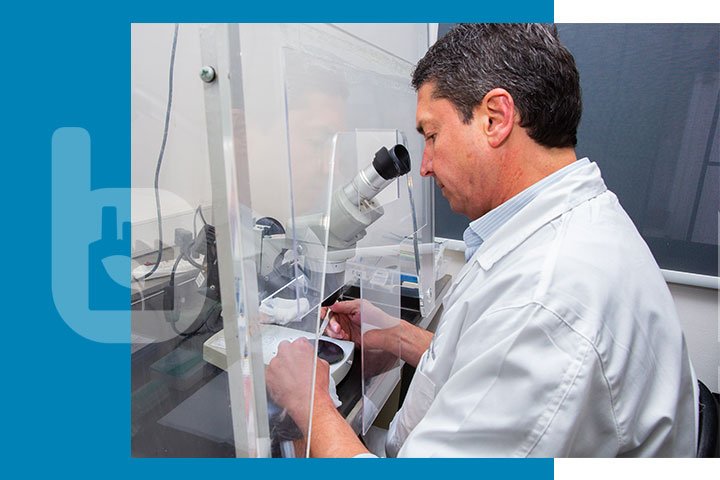 Análisis de asbesto Análisis de asbesto