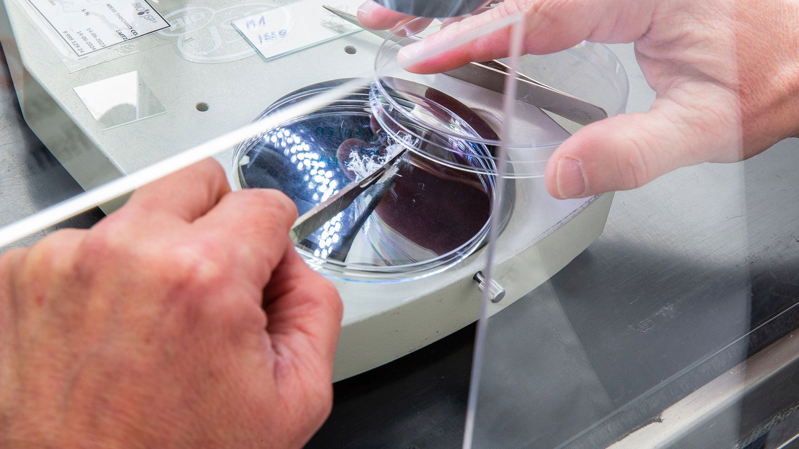 Ejemplo práctico de control de asbesto en la construcción